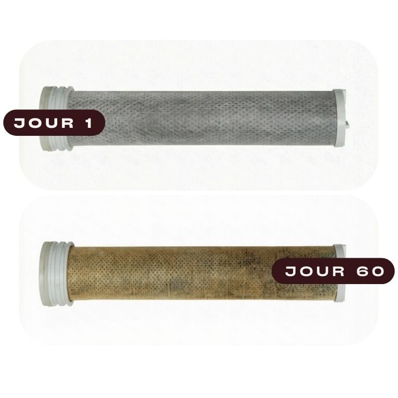 Filtre Pommeau de Douche - Sensivaé